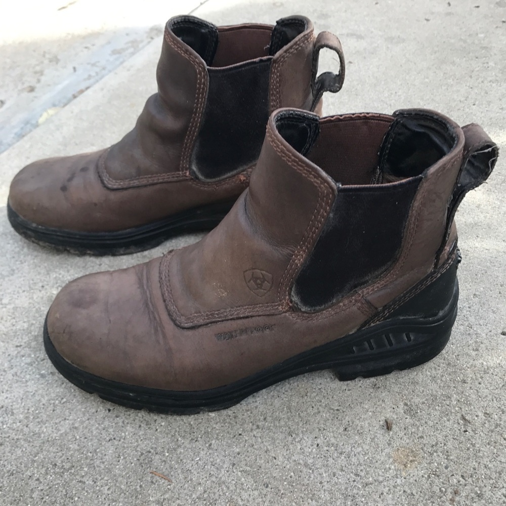 Ariat water proof paddock boots